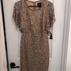 Adrianna Papell size 4 beaded dress